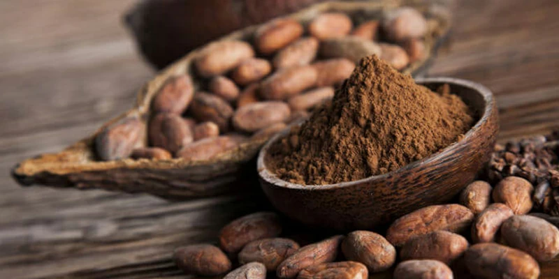 Cocoa